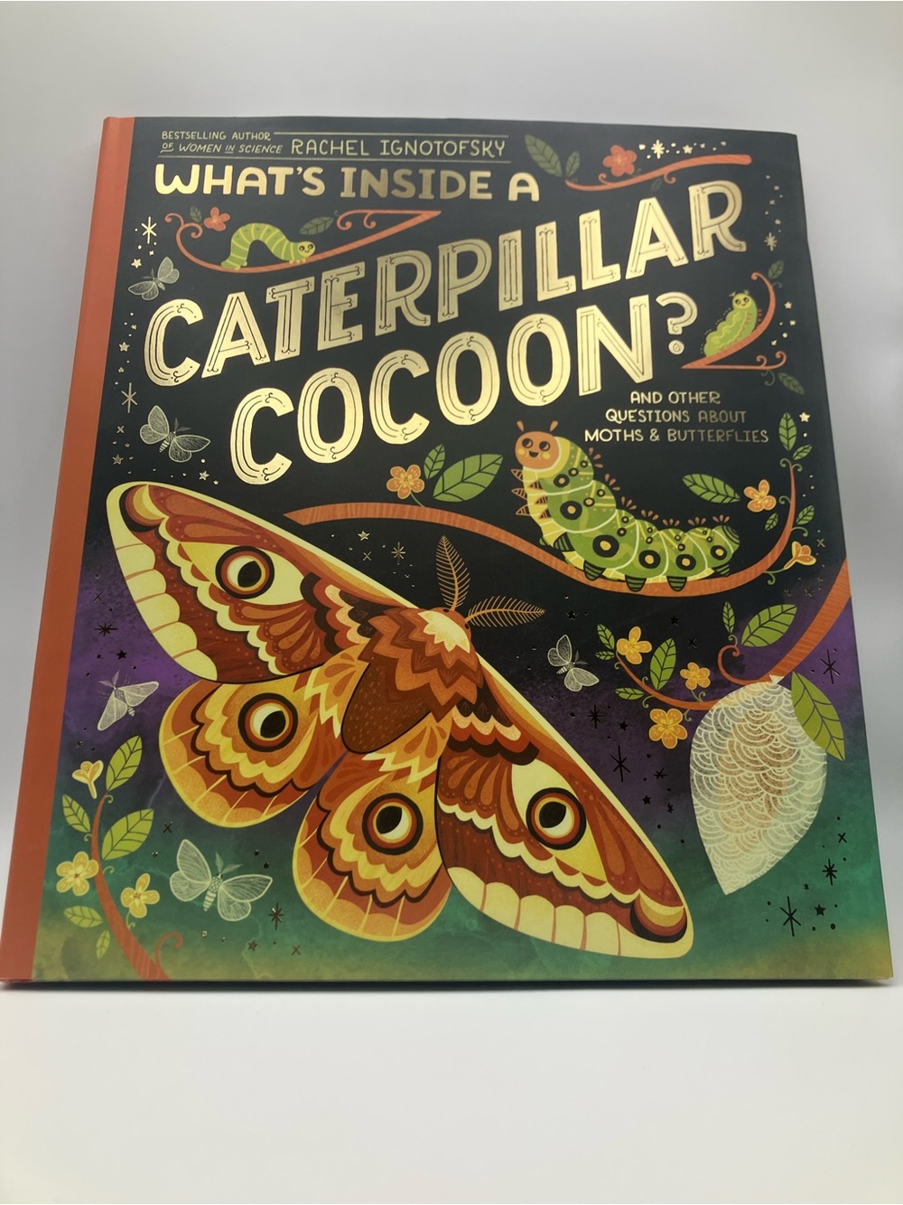 What's Inside a Caterpillar Cocoon? - Orange/Green Illustrated Book